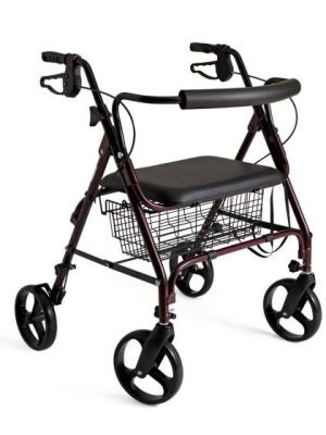 2024 Step2 Anniversary Edition Up and Down Roller Coaster Ride-on Toy