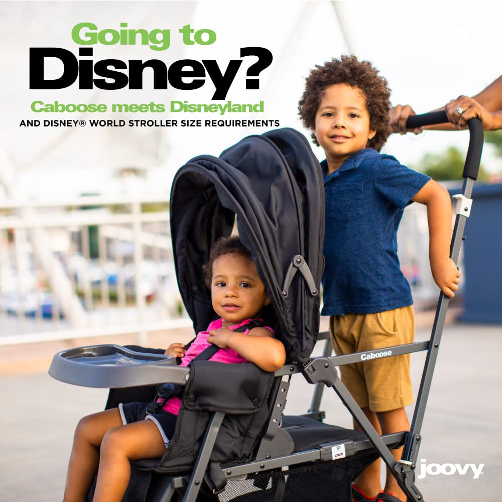 2024 Joovy Caboose Graphite Stroller Appletree