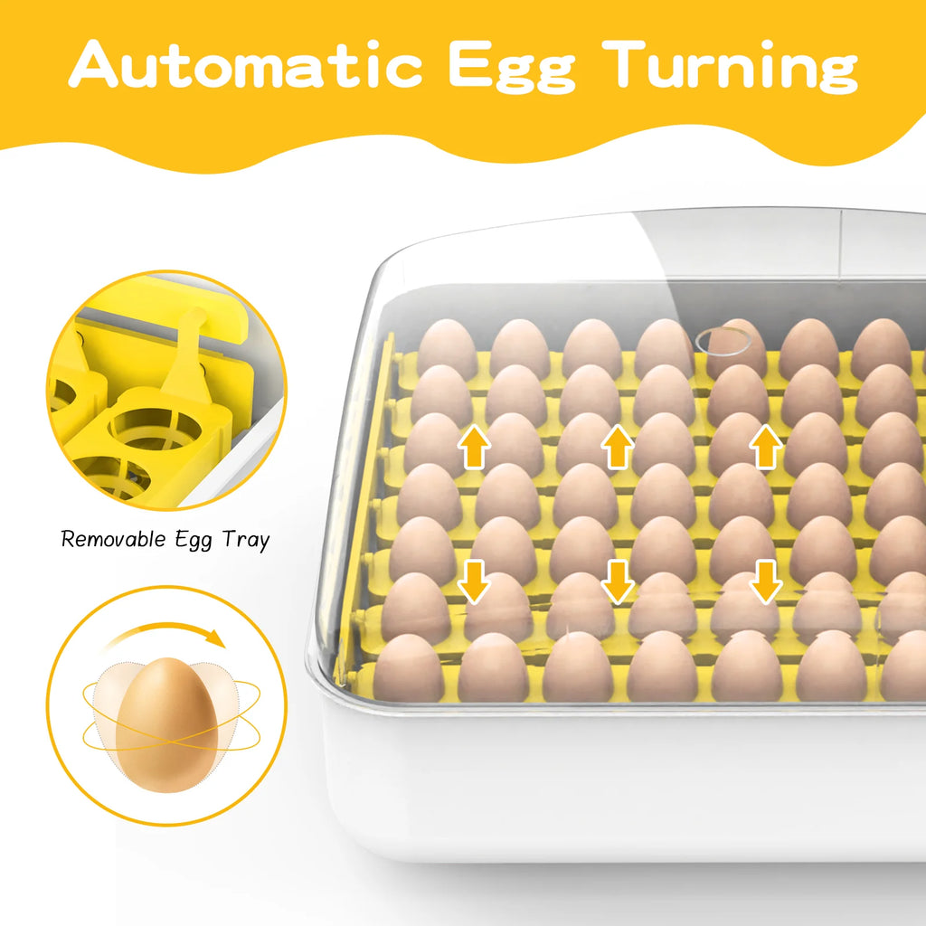 56 Egg Incubator Automatic Turning