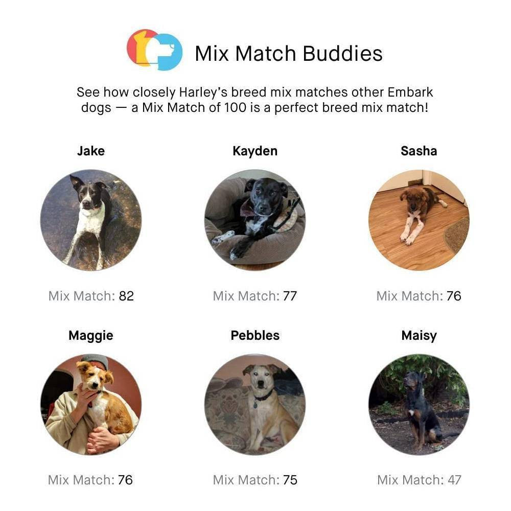 Embark Dog DNA Test, Breed Identification Kit
