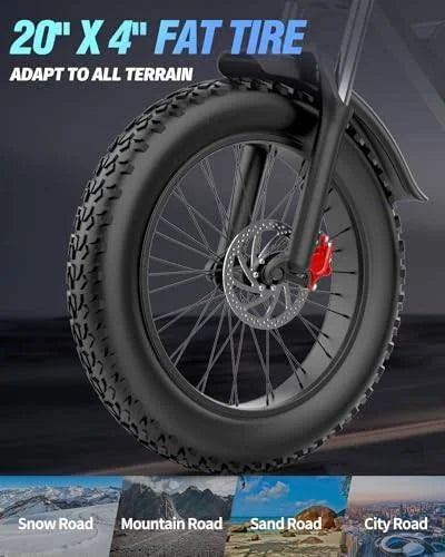Bopzin Dual Motor Electric Bike Q20PRO-2000W 52V 40Ah